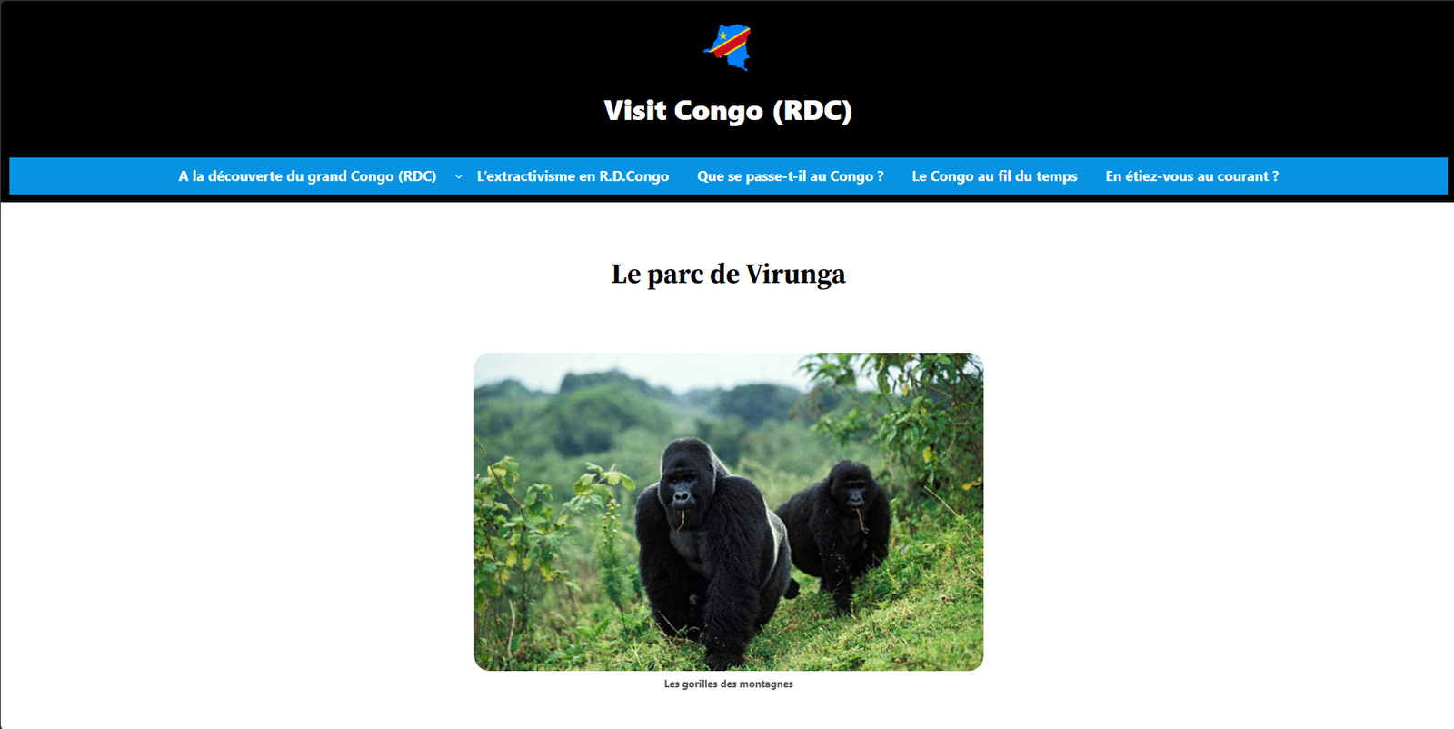 Visit Congo (RDC)